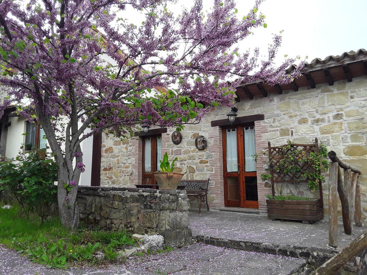 B&B Caselunghe Camerino Eksteriør bilde