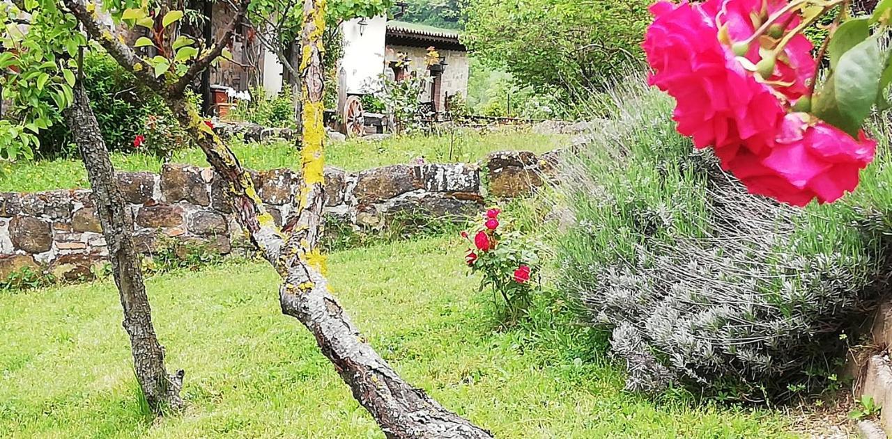 B&B Caselunghe Camerino Eksteriør bilde